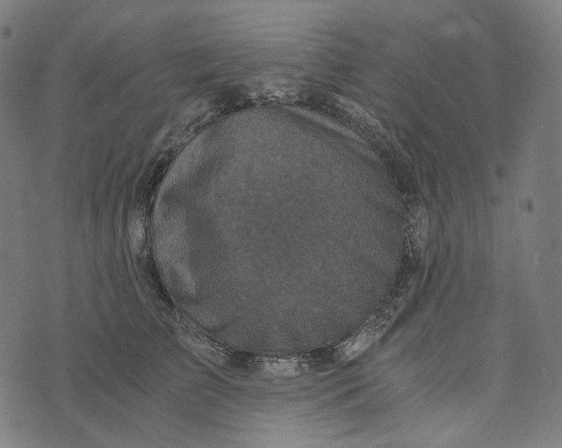 X0000073530709200608211830