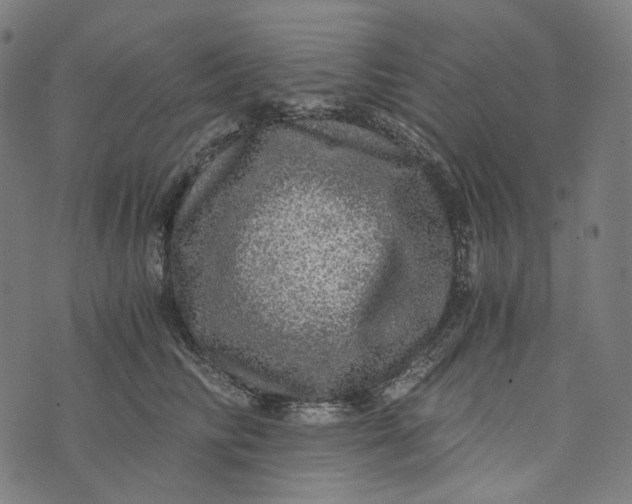 X0000073530710200608211830