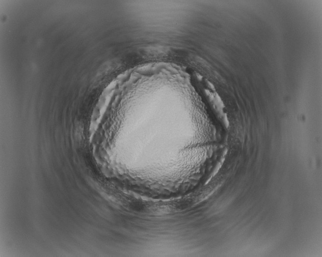 X0000073530711200608211830