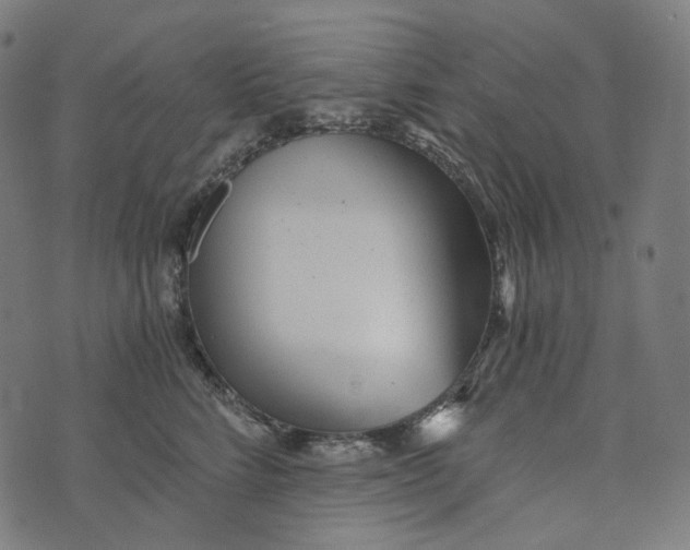 X0000073530712200608211830