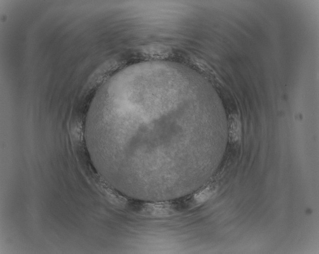 X0000073530713200608211830