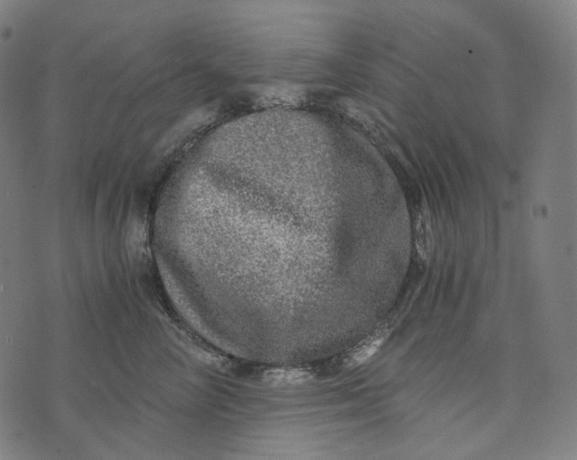 X0000073530714200608211830