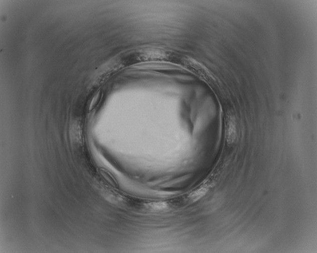 X0000073530715200608211830