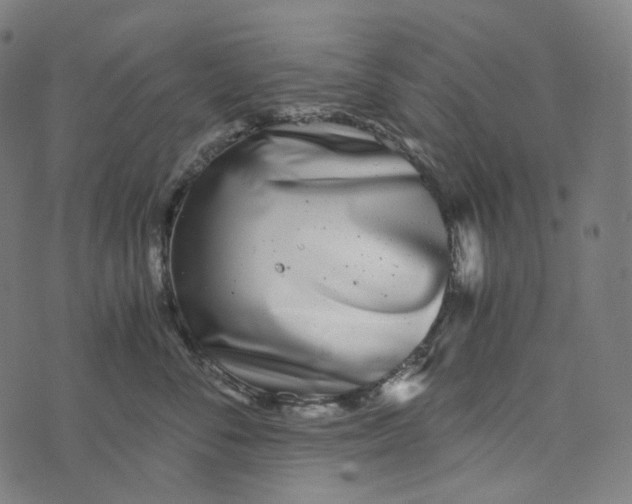 X0000073530716200608211830