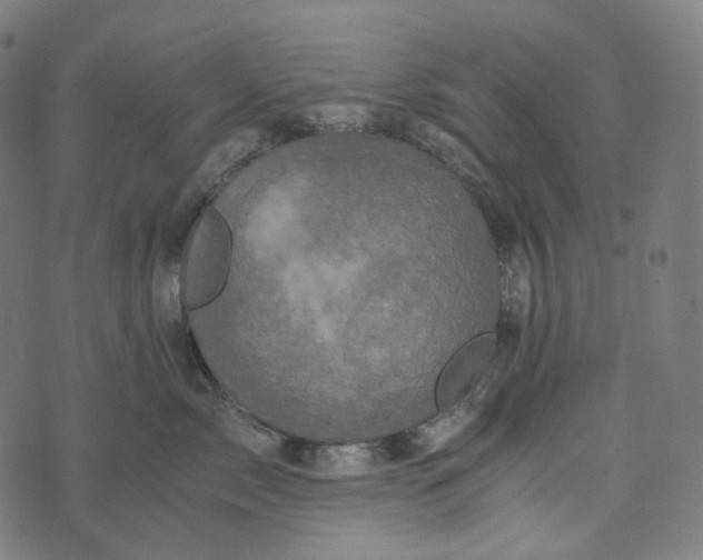 X0000073530717200608211830