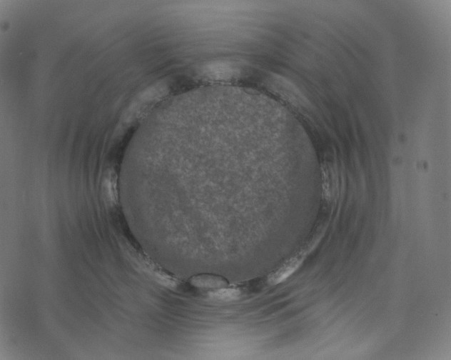 X0000073530718200608211830