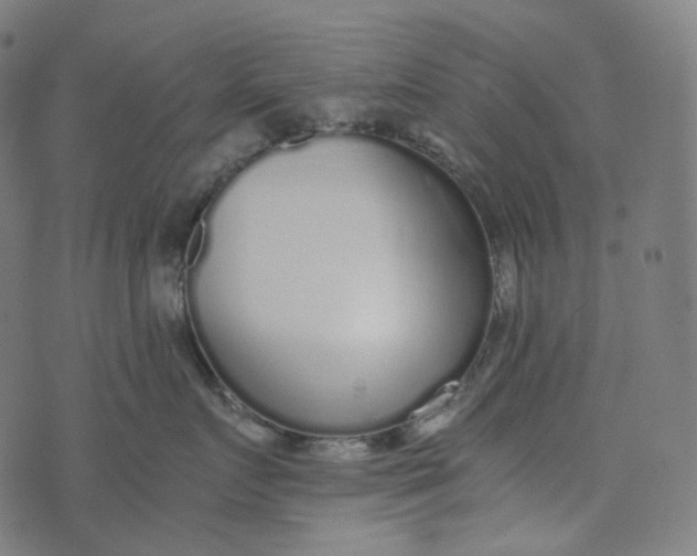 X0000073530719200608211830