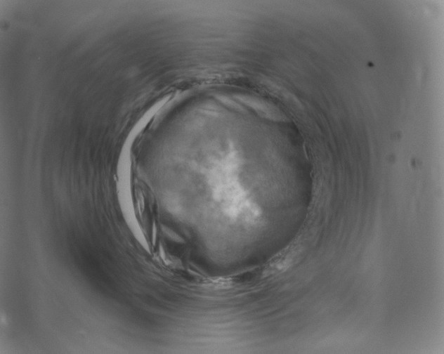 X0000073530720200608211830