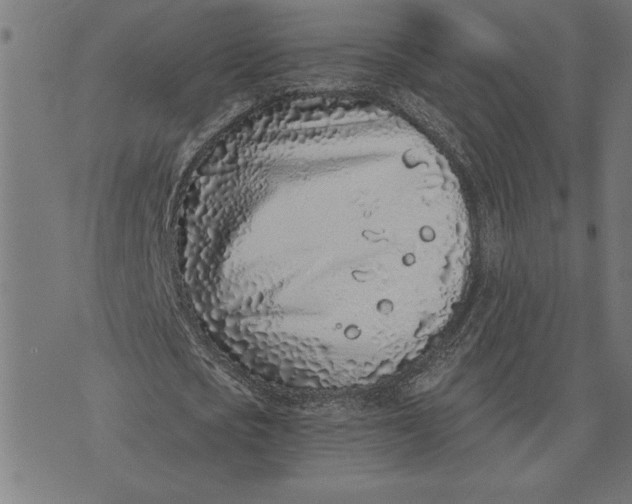 X0000073530721200608211829