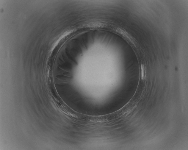 X0000073530723200608211829