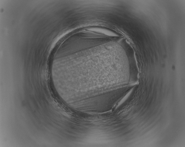 X0000073530724200608211829