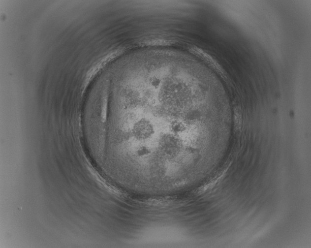 X0000073530725200608211829