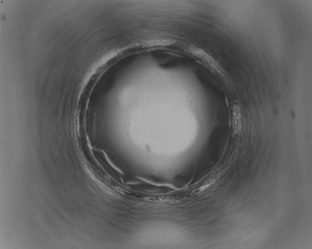 X0000073530726200608211829