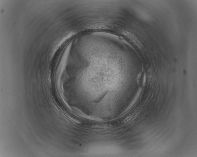 X0000073530727200608211829