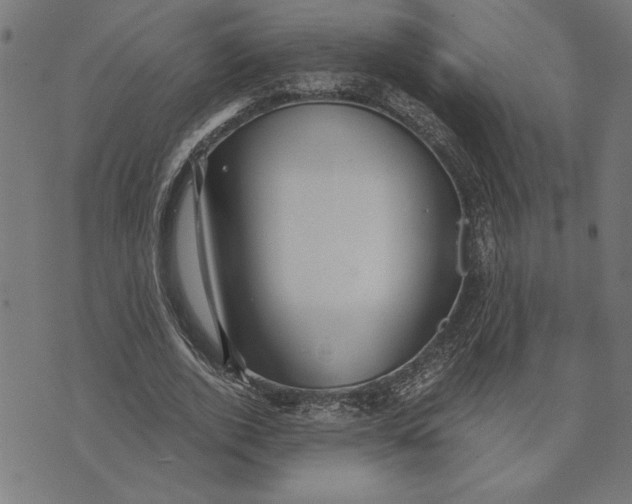 X0000073530728200608211829