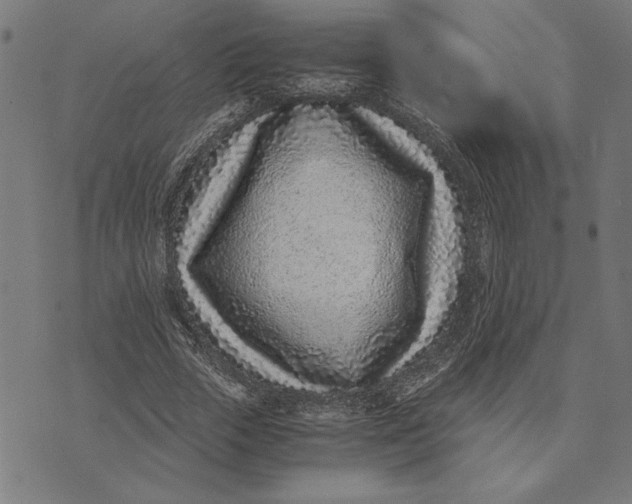 X0000073530729200608211829