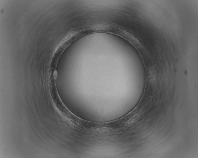 X0000073530730200608211829