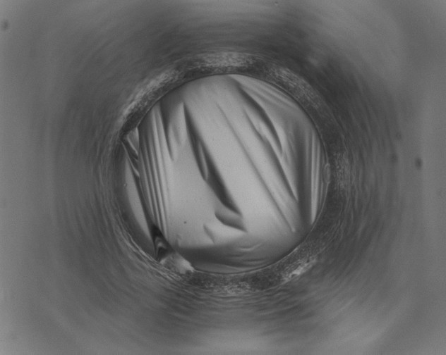 X0000073530731200608211829