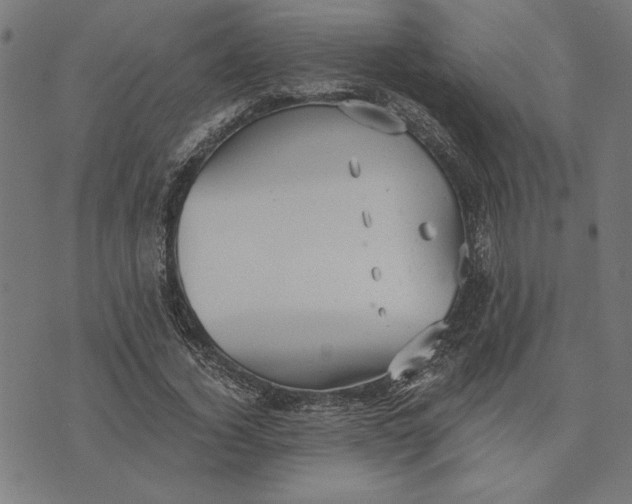 X0000073530732200608211829