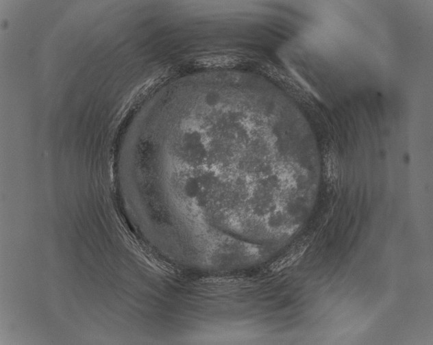 X0000073530733200608211829