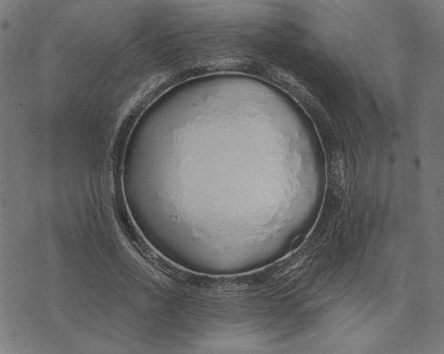 X0000073530734200608211829