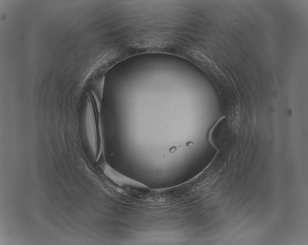 X0000073530735200608211829