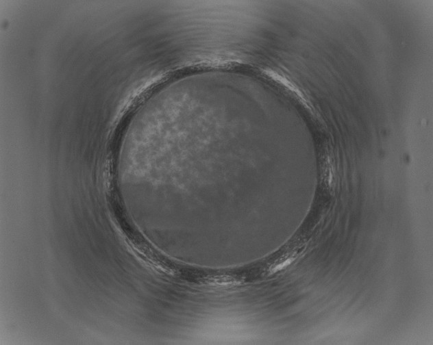 X0000073530736200608211829