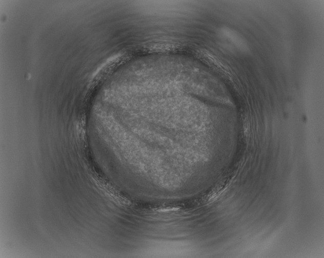 X0000073530737200608211829