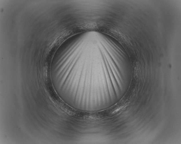 X0000073530739200608211829