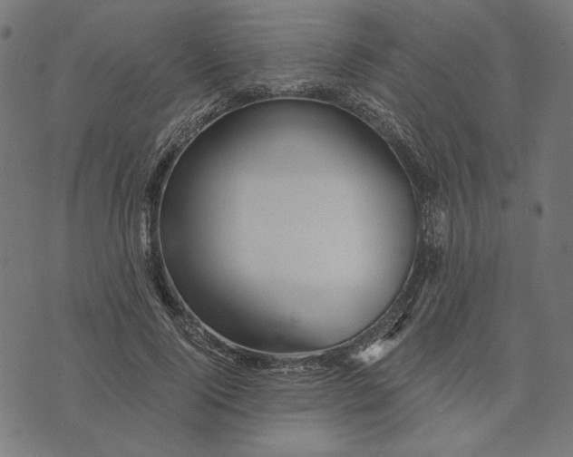 X0000073530740200608211829