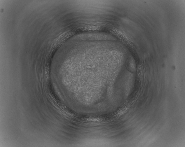 X0000073530741200608211829