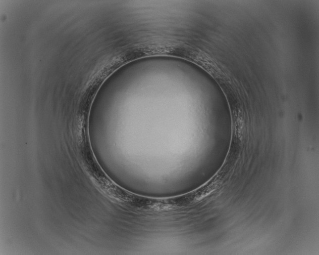 X0000073530742200608211829