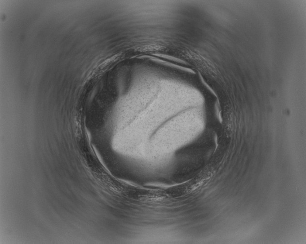 X0000073530743200608211829