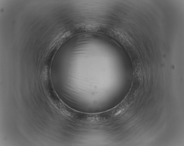 X0000073530744200608211829