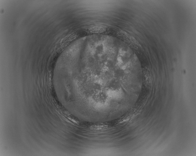 X0000073530745200608211829