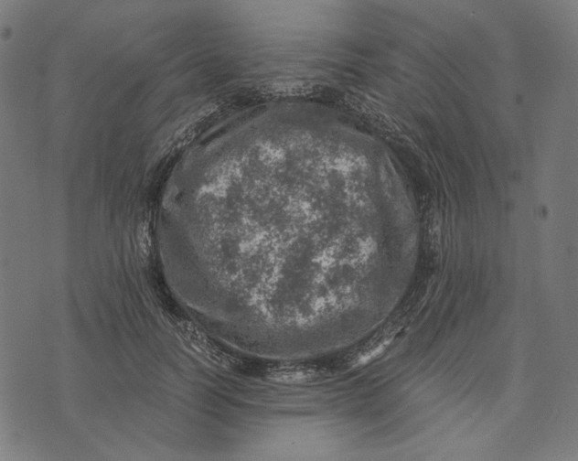 X0000073530746200608211829