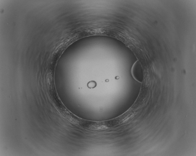 X0000073530747200608211829