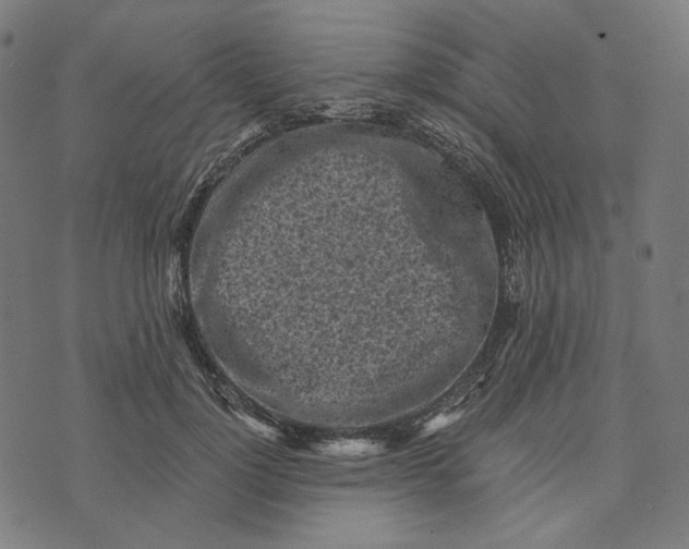 X0000073530748200608211829