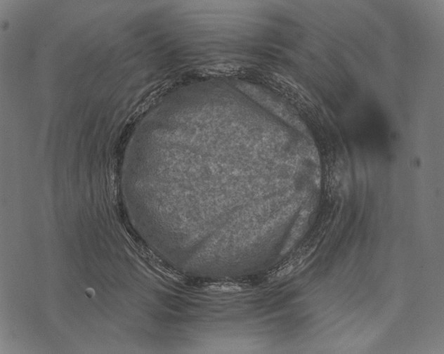 X0000073530749200608211829