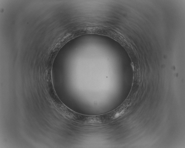 X0000073530750200608211829