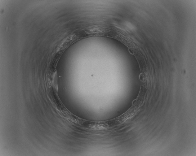 X0000073530751200608211829