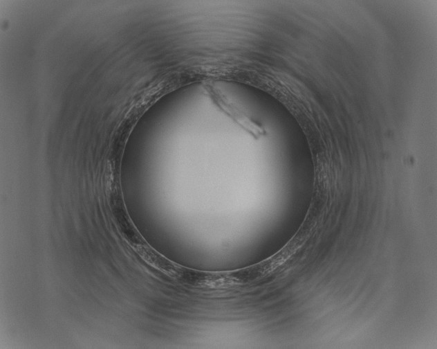 X0000073530752200608211829