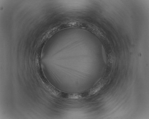 X0000073530754200608211829