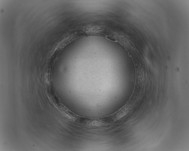 X0000073530755200608211829