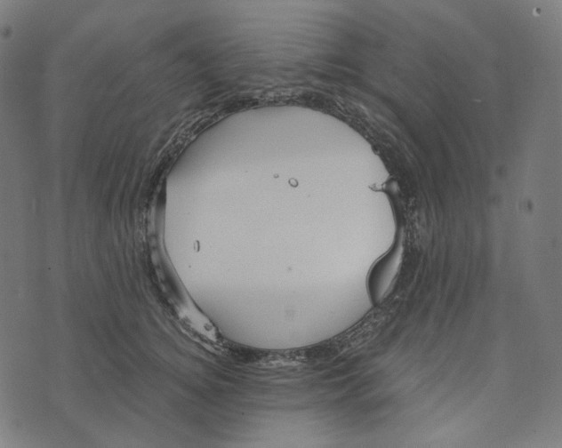 X0000073530756200608211829