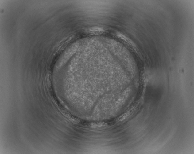 X0000073530757200608211829