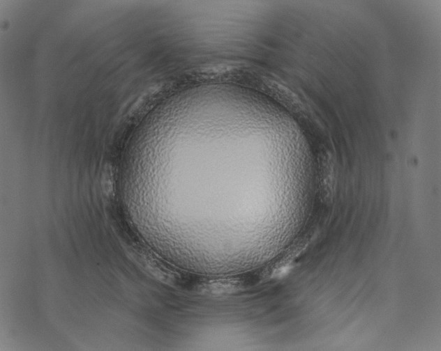 X0000073530758200608211829