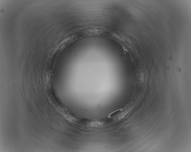 X0000073530759200608211829