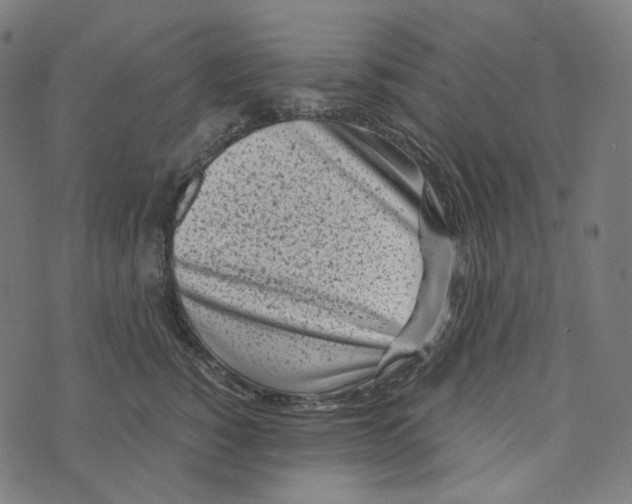 X0000073530760200608211829