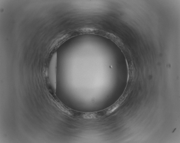 X0000073530762200608211829